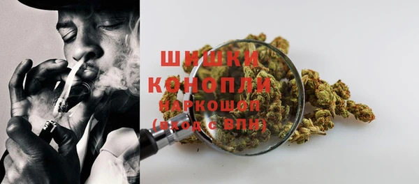 сатива Белоозёрский