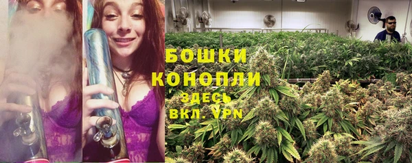 прущий лед Белокуриха