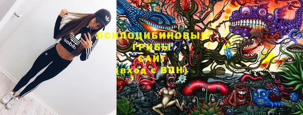 прущий лед Белокуриха