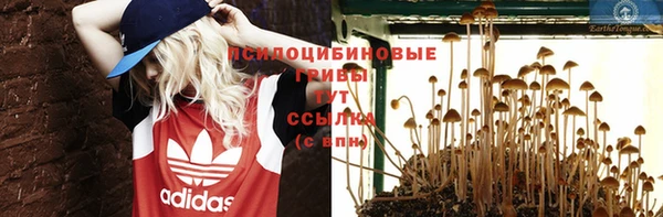 прущий лед Белокуриха