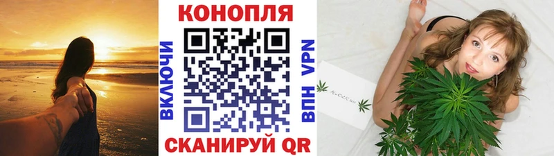 Конопля OG Kush Беслан